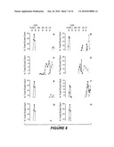 ANTIBODY THAT SPECIFICALLY BINDS HYALURONAN SYNTHASE diagram and image