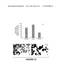 ANTIBODY THAT SPECIFICALLY BINDS HYALURONAN SYNTHASE diagram and image