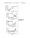 ANTIBODY THAT SPECIFICALLY BINDS HYALURONAN SYNTHASE diagram and image