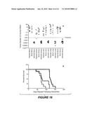 ANTIBODY THAT SPECIFICALLY BINDS HYALURONAN SYNTHASE diagram and image