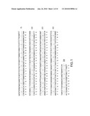 METHODS FOR AUGMENTING AN IMMUNE RESPONSE USING ANTI-CD40 ANTIBODIES diagram and image