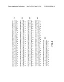 METHODS FOR AUGMENTING AN IMMUNE RESPONSE USING ANTI-CD40 ANTIBODIES diagram and image