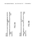 METHODS FOR AUGMENTING AN IMMUNE RESPONSE USING ANTI-CD40 ANTIBODIES diagram and image