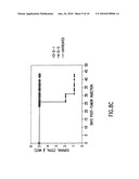 METHODS FOR AUGMENTING AN IMMUNE RESPONSE USING ANTI-CD40 ANTIBODIES diagram and image