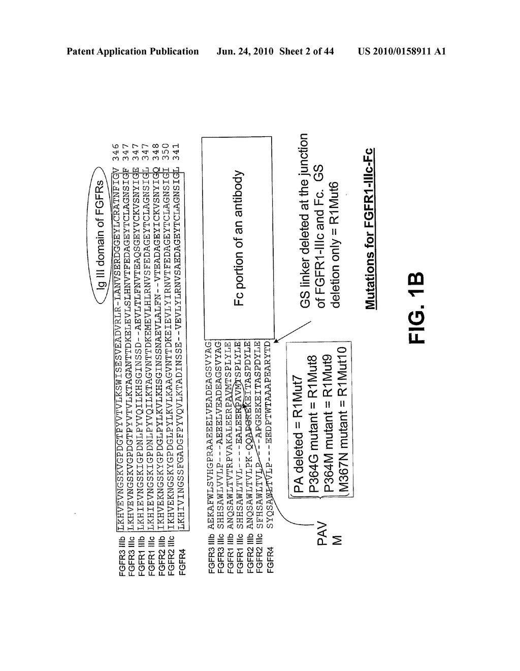 Compositions and Methods of Treating Disease with FGFR Fusion Proteins - diagram, schematic, and image 03