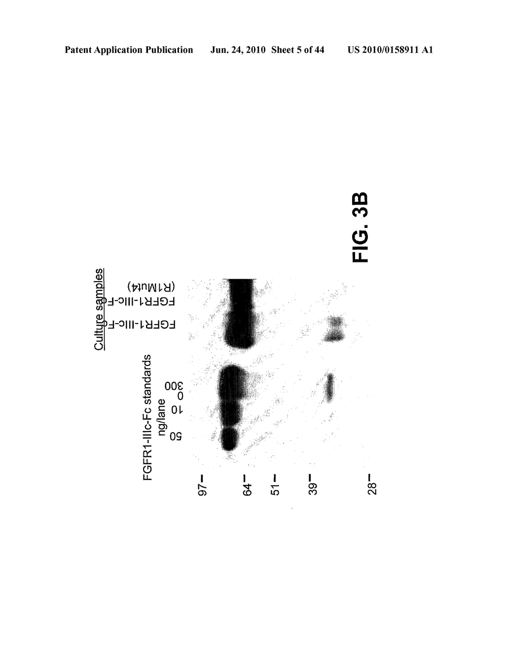 Compositions and Methods of Treating Disease with FGFR Fusion Proteins - diagram, schematic, and image 06