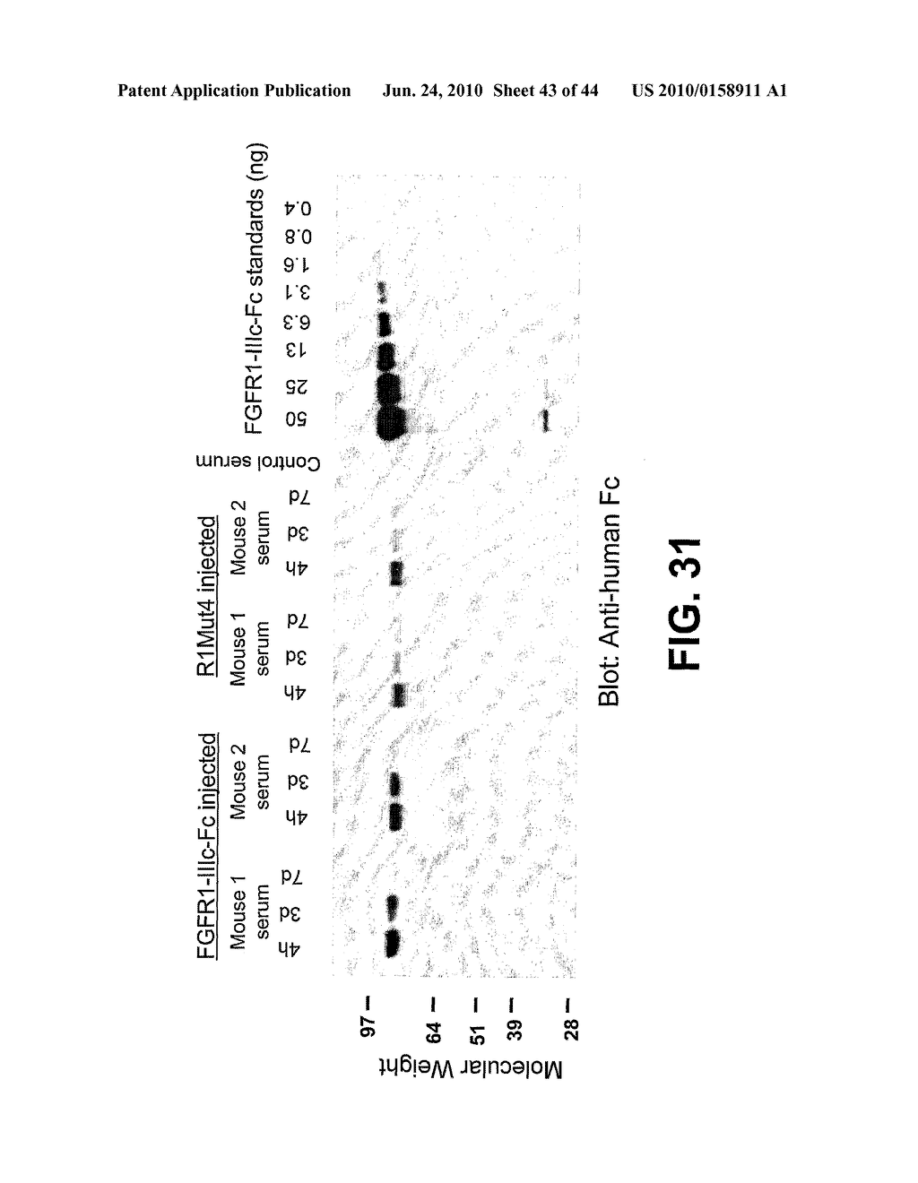 Compositions and Methods of Treating Disease with FGFR Fusion Proteins - diagram, schematic, and image 44