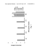 ANTIBODIES, METHODS AND KITS FOR DIAGNOSING AND TREATING MELANOMA diagram and image