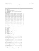 ANTIBODIES, METHODS AND KITS FOR DIAGNOSING AND TREATING MELANOMA diagram and image