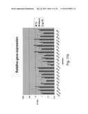 ANTIBODIES, METHODS AND KITS FOR DIAGNOSING AND TREATING MELANOMA diagram and image