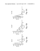 ANTIBODIES, METHODS AND KITS FOR DIAGNOSING AND TREATING MELANOMA diagram and image