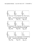 ANTIBODIES, METHODS AND KITS FOR DIAGNOSING AND TREATING MELANOMA diagram and image