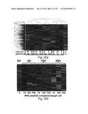 ANTIBODIES, METHODS AND KITS FOR DIAGNOSING AND TREATING MELANOMA diagram and image