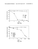 ANTIBODIES, METHODS AND KITS FOR DIAGNOSING AND TREATING MELANOMA diagram and image