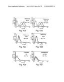 ANTIBODIES, METHODS AND KITS FOR DIAGNOSING AND TREATING MELANOMA diagram and image