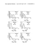 ANTIBODIES, METHODS AND KITS FOR DIAGNOSING AND TREATING MELANOMA diagram and image