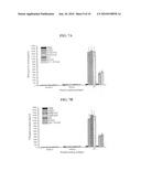 HPV ANTIGEN FUSION PROTEIN VACCINE COMPOSITIONS AND USES THEREOF diagram and image