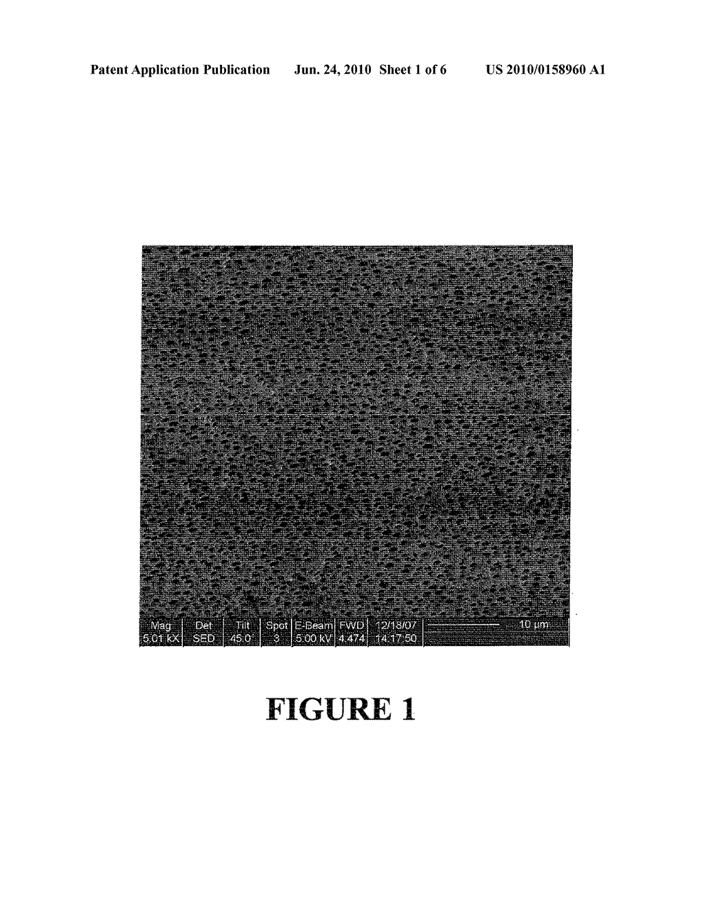 POROUS POLYMER COATING FOR TOOTH WHITENING - diagram, schematic, and image 02