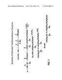 METHOD FOR INCREASING THE PERMEABILITY OF POLYMER FILM diagram and image