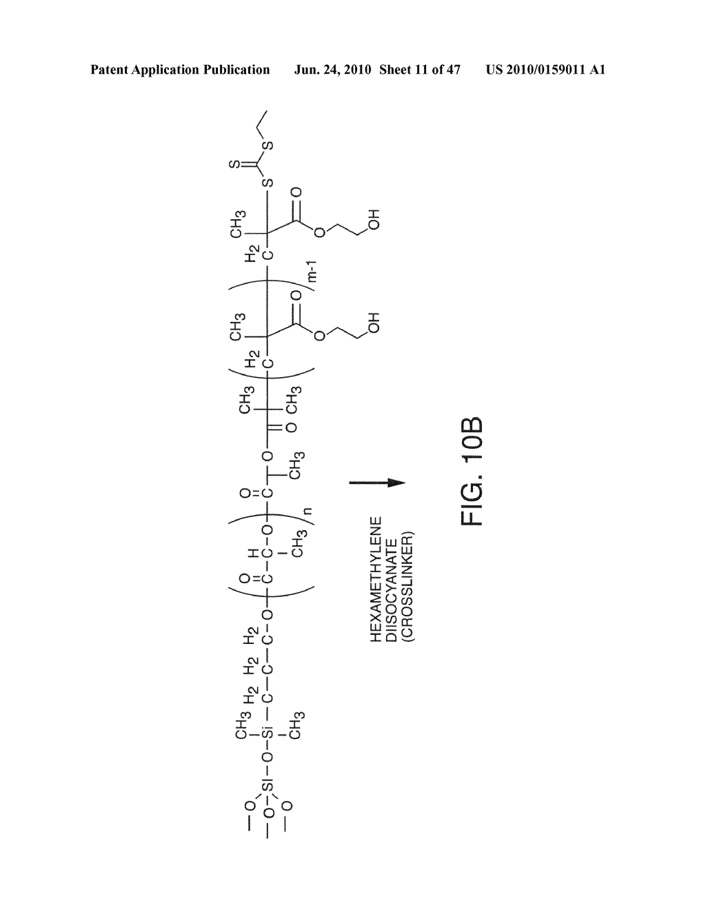 Compositions For Biomedical Applications - diagram, schematic, and image 12