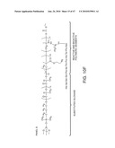 Compositions For Biomedical Applications diagram and image