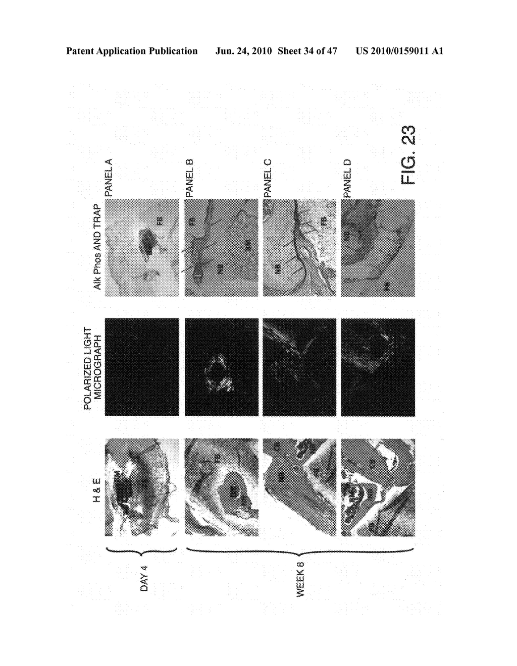 Compositions For Biomedical Applications - diagram, schematic, and image 35