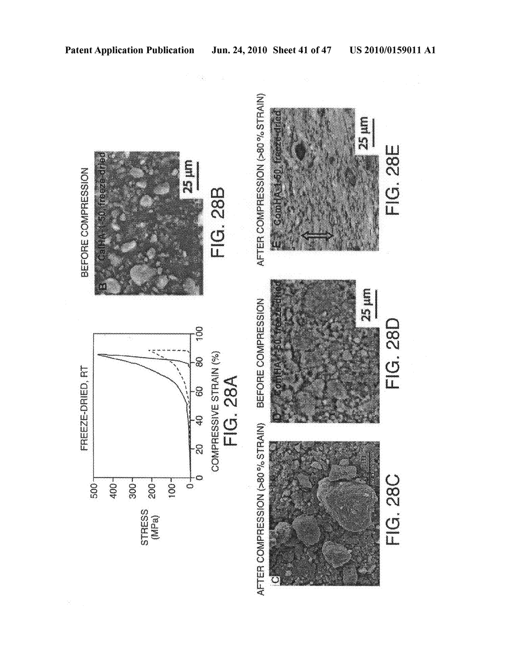 Compositions For Biomedical Applications - diagram, schematic, and image 42