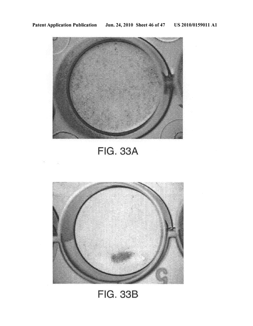 Compositions For Biomedical Applications - diagram, schematic, and image 47