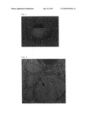 PAIN RELIEF COMPOSITION COMPRISING PARAMAGNETIC SILVER NANOPARTICLES diagram and image