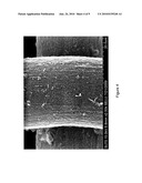 CNT-INFUSED METAL FIBER MATERIALS AND PROCESS THEREFOR diagram and image