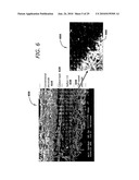 Carbon based electrocatalysts for fuel cells diagram and image