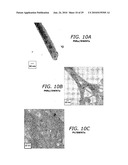 Carbon based electrocatalysts for fuel cells diagram and image