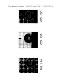 Carbon based electrocatalysts for fuel cells diagram and image