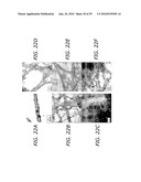 Carbon based electrocatalysts for fuel cells diagram and image