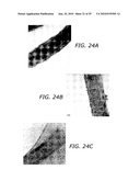 Carbon based electrocatalysts for fuel cells diagram and image