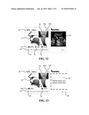 LANGUAGE SKILLS FOR INFANTS diagram and image