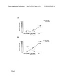 METHOD FOR THE INDIVIDUAL STAGING OF TUMOR DISEASES diagram and image