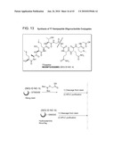 Detection Assays and Use Thereof diagram and image