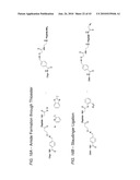 Detection Assays and Use Thereof diagram and image