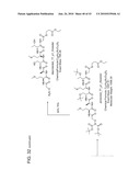Detection Assays and Use Thereof diagram and image