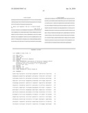 QUANTITATIVE AMPLIFICATION WITH A LABELED PROBE AND 3  TO 5  EXONUCLEASE ACTIVITY diagram and image