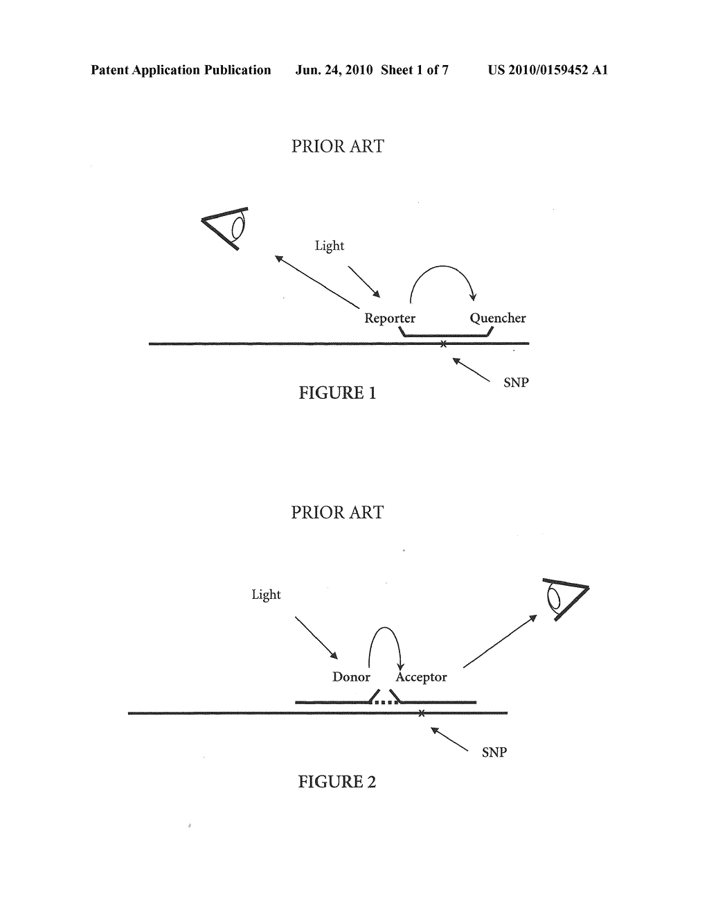 Method For Detecting a Target Nucleic Acid in a Sample - diagram, schematic, and image 02