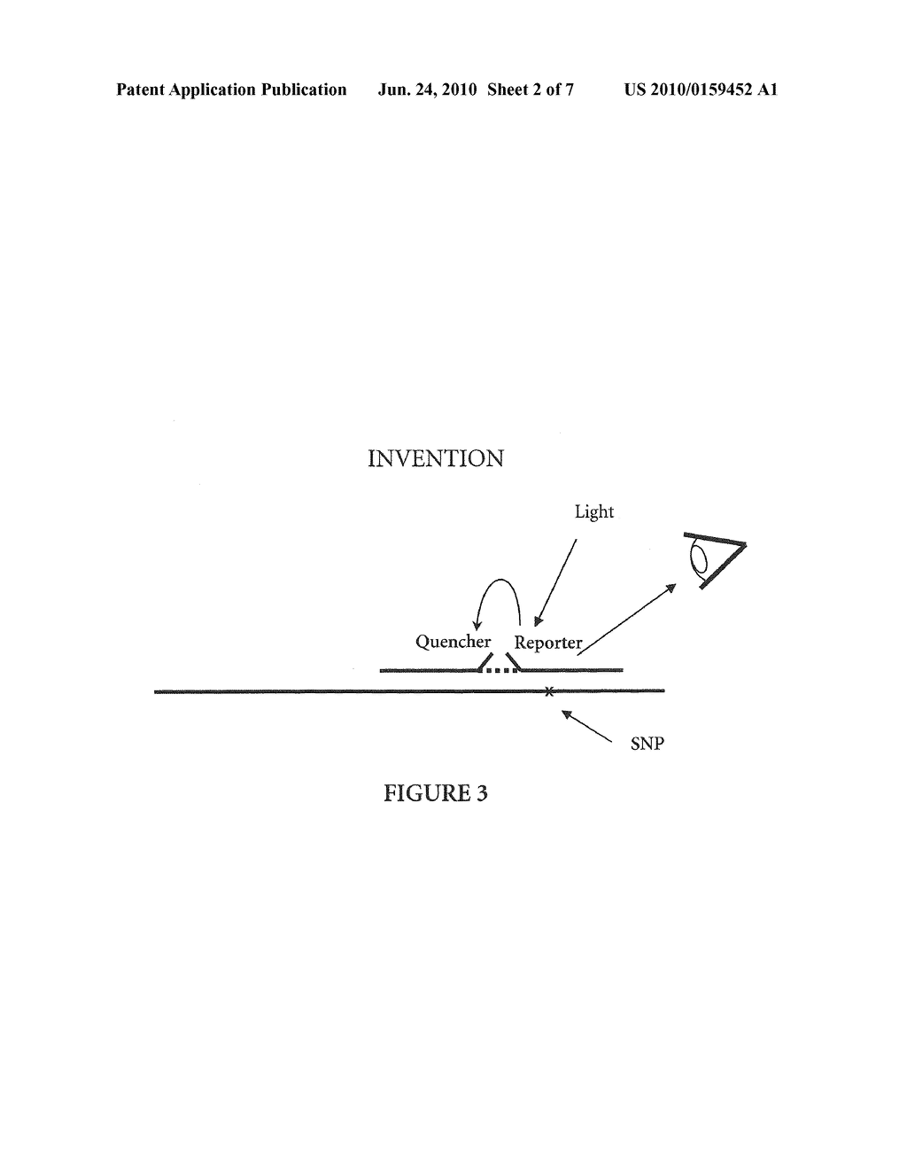 Method For Detecting a Target Nucleic Acid in a Sample - diagram, schematic, and image 03