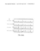 METHODS FOR DETECTING TCR-GAMMA GENE REARRANGEMENT diagram and image