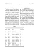 Isolation of nucleic acids on surfaces diagram and image