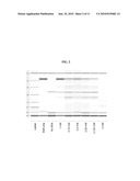 PROTEINASE K INHIBITORS, METHODS AND COMPOSITIONS THEREFOR diagram and image