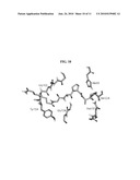 PROTEINASE K INHIBITORS, METHODS AND COMPOSITIONS THEREFOR diagram and image