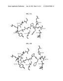 PROTEINASE K INHIBITORS, METHODS AND COMPOSITIONS THEREFOR diagram and image