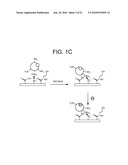 NANOPARTICULATE CELL CULTURE SURFACE diagram and image