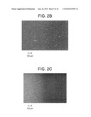 NANOPARTICULATE CELL CULTURE SURFACE diagram and image